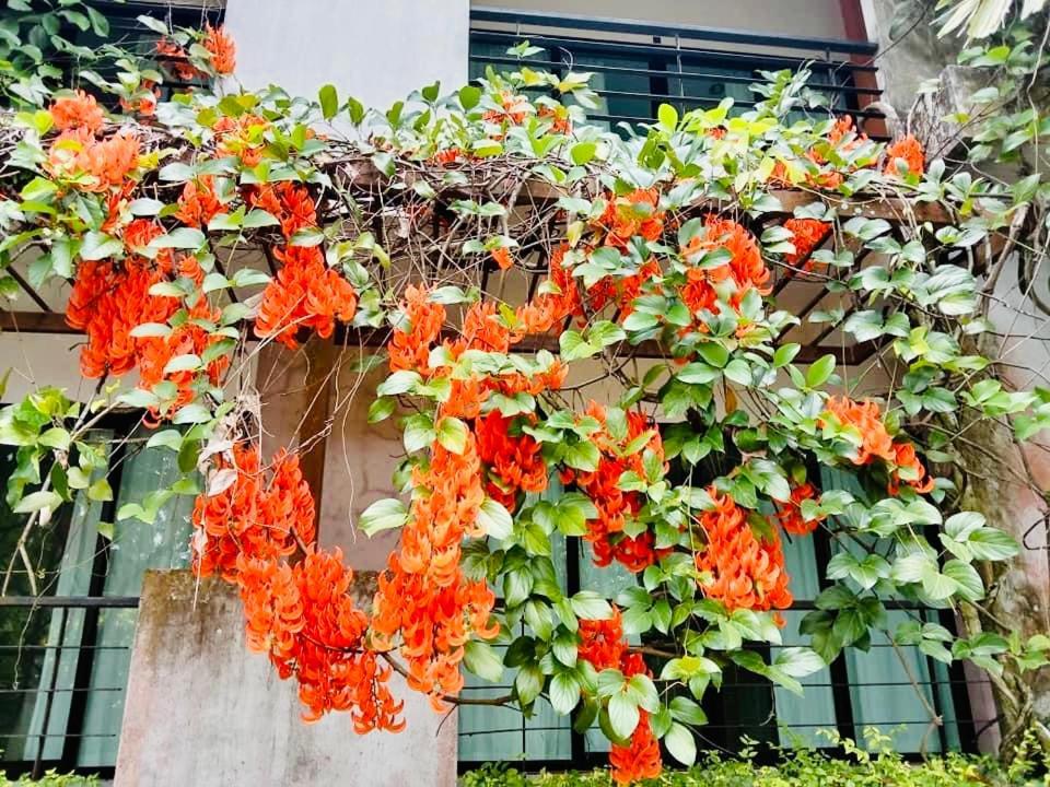 Wassana Sitdharma Guesthouse Trang Exterior photo